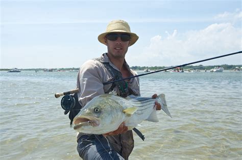 stripers online fly fishing|rhode island striper fishing forum.